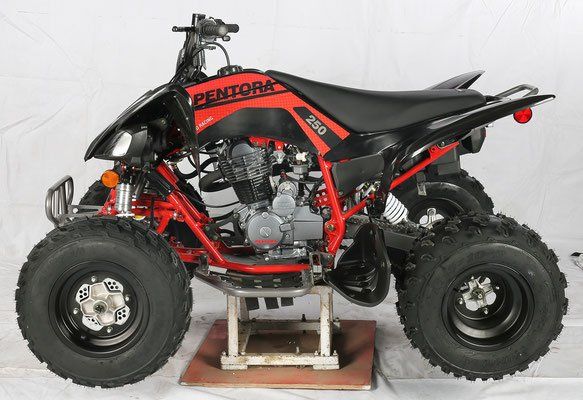 Black and red Honda ATV on a stand, side view against a white background