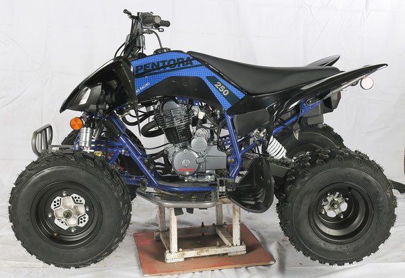 A blue and black atv with the number 250 on it
