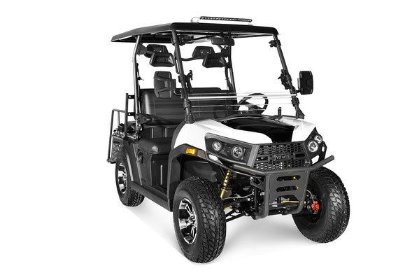 Black and white off-road utility vehicle with roof and roll cage on a white background