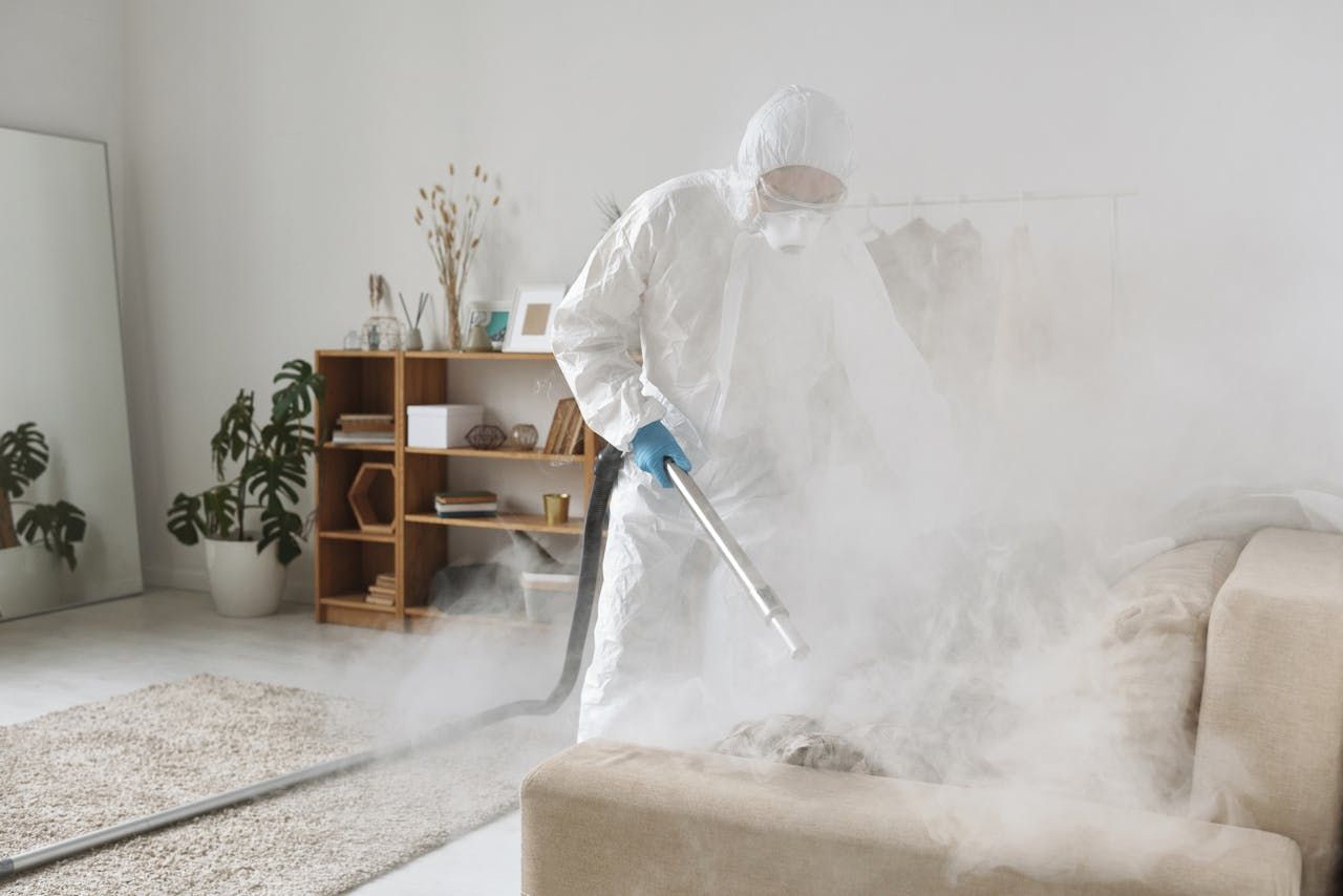 How Often Should You Clean Your Office Windows The Hidden Pest Problems You Can't See