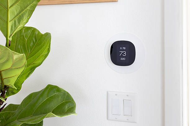 Round black thermostat on a white wall above a light switch, beside green houseplant leaves.