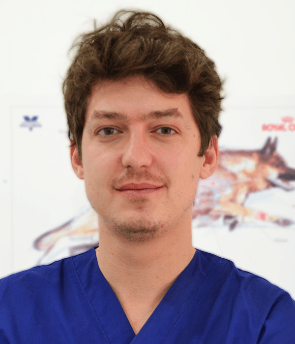 Dr. Antonio Piazza