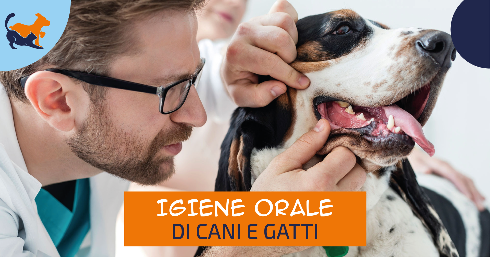 Igiene orale di cani e gatti