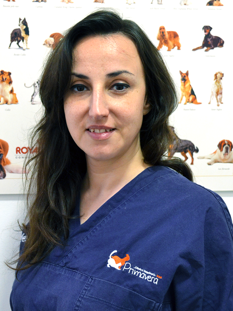 Carmela Petrella