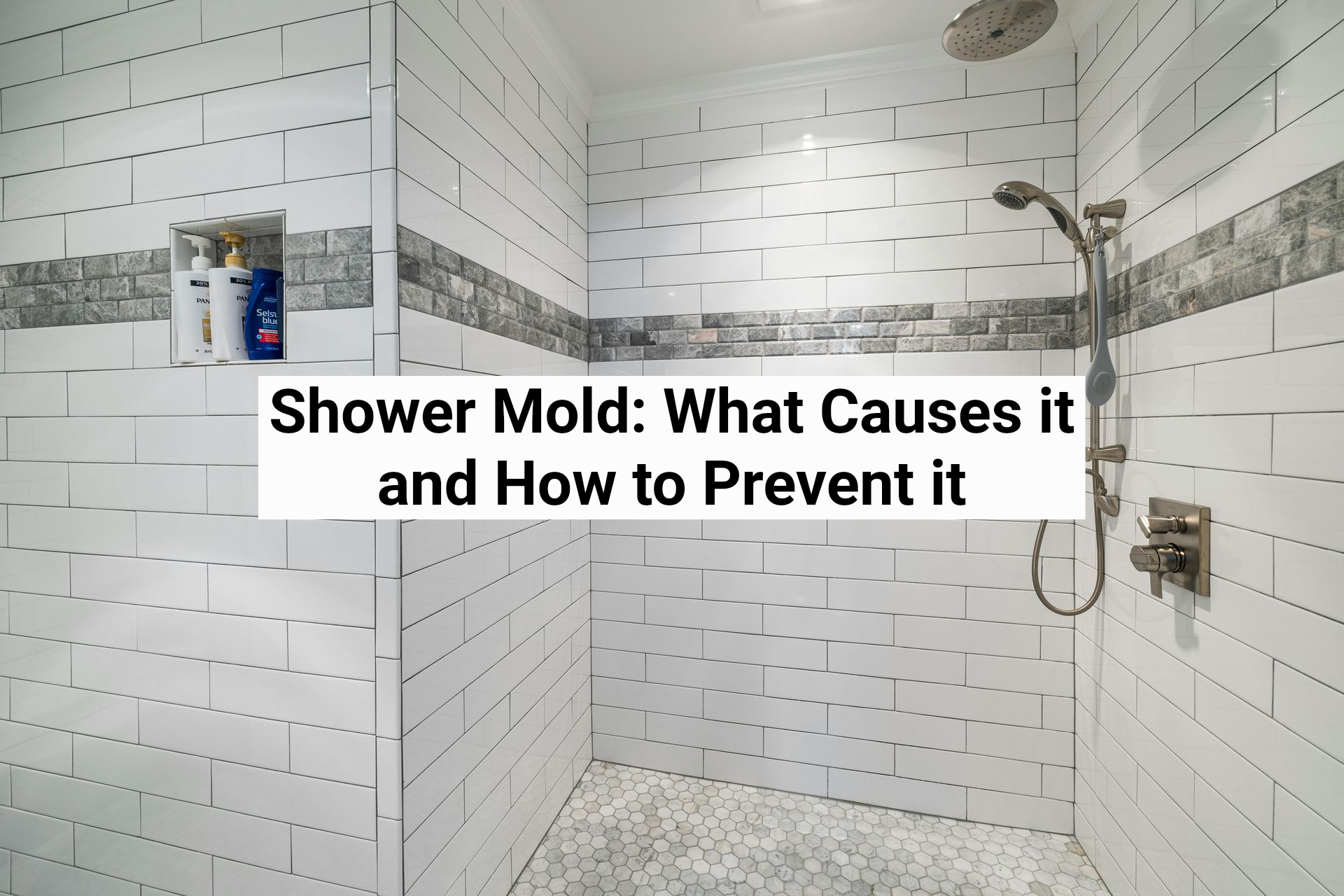 White tiled shower with mold spots and a caption about causes and prevention