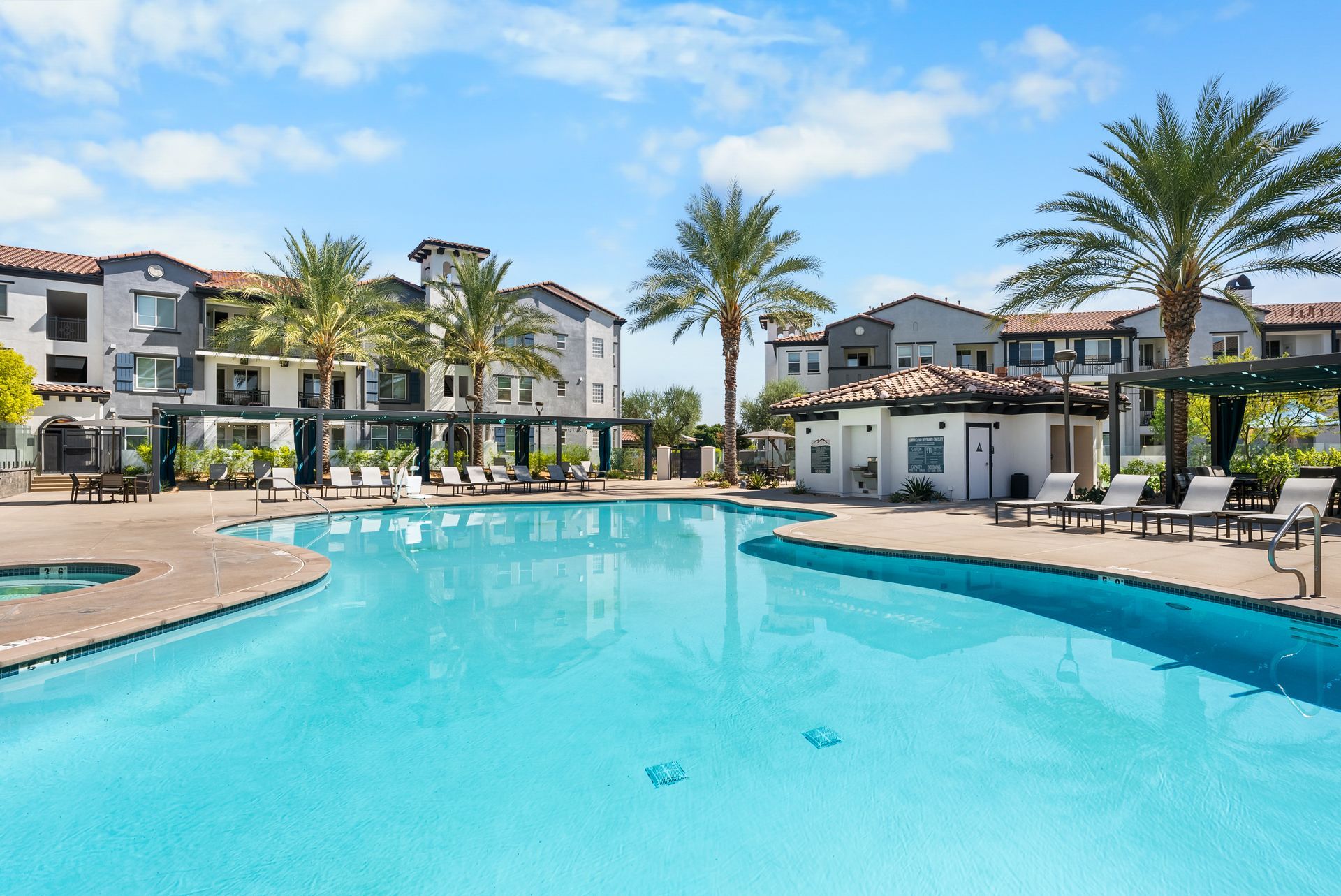 Swimming pool and palm trees