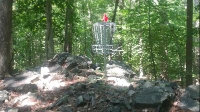 Disc golf basket on a rocky wooded trail, with a red marker flag on top