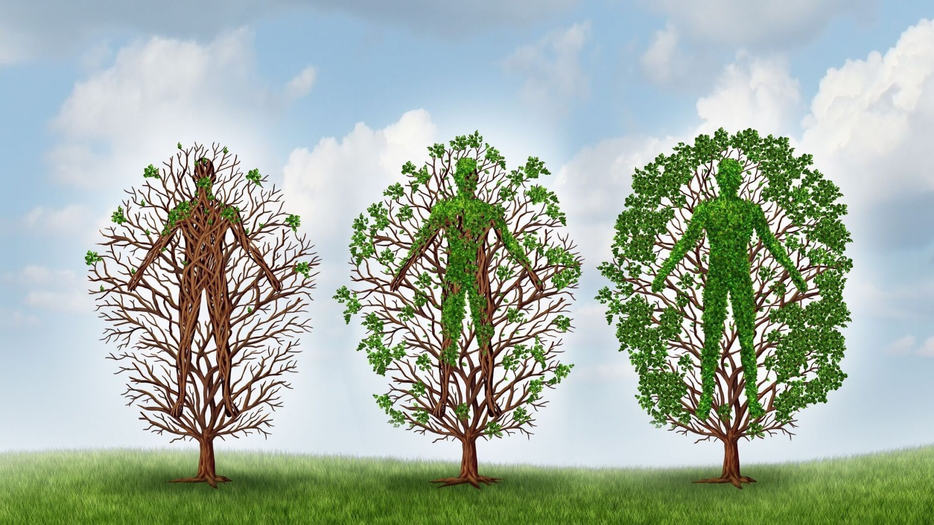 Illustration depicting growth. Medication assisted treatment