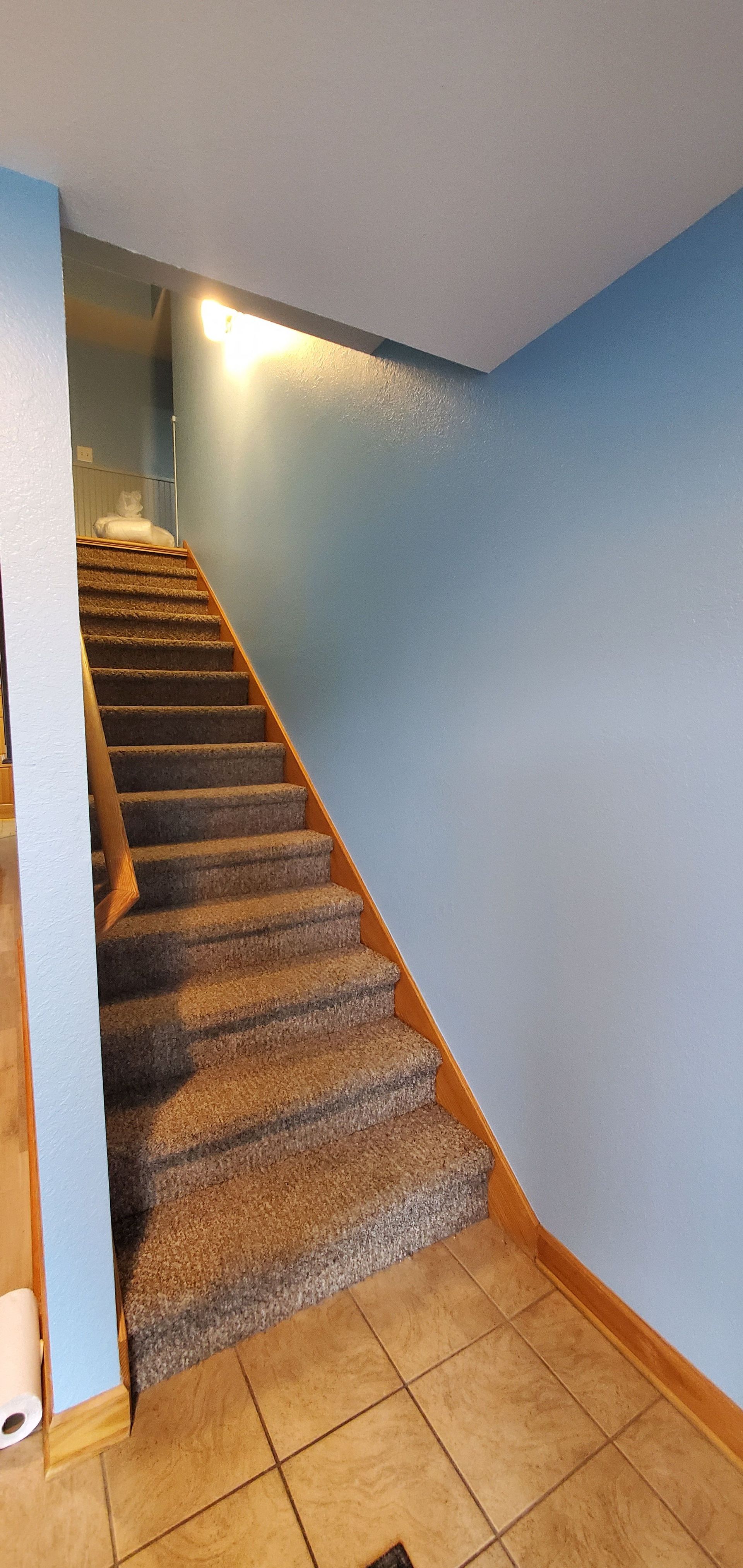 Indoor stairway with gray carpeted steps, blue walls, and tan tile flooring at the bottom