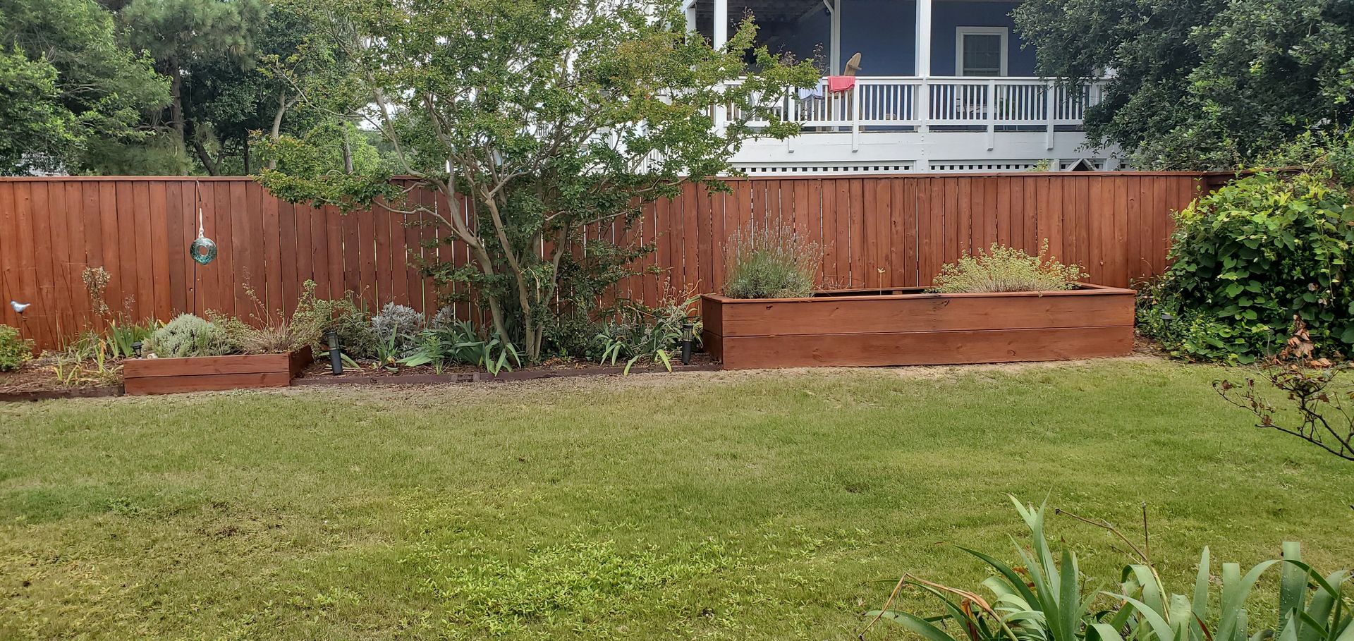 Backyard lawn with raised garden beds, wooden fence, shrubs, and a house deck in the background