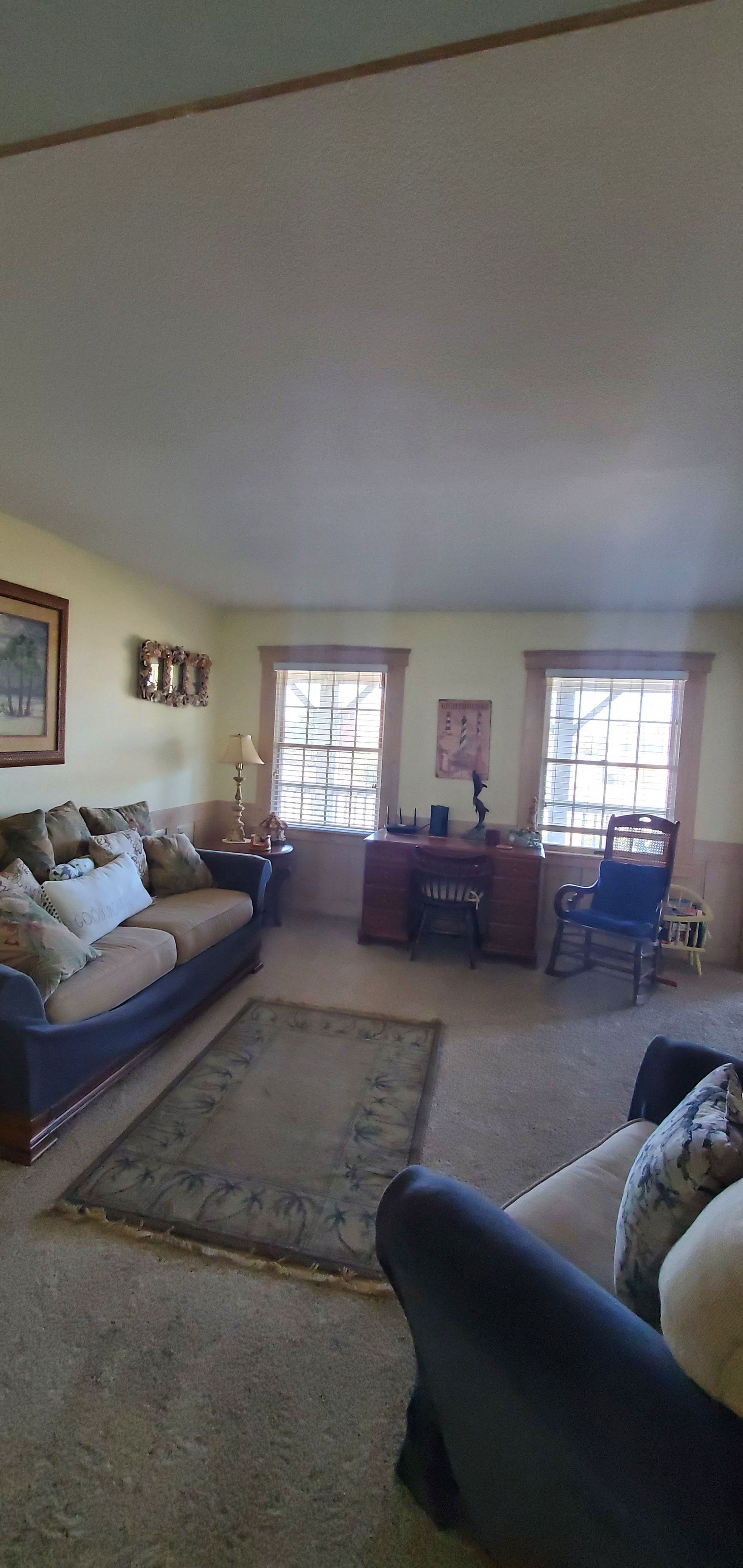 Living room with couch, armchair, rug, and two windows letting in daylight