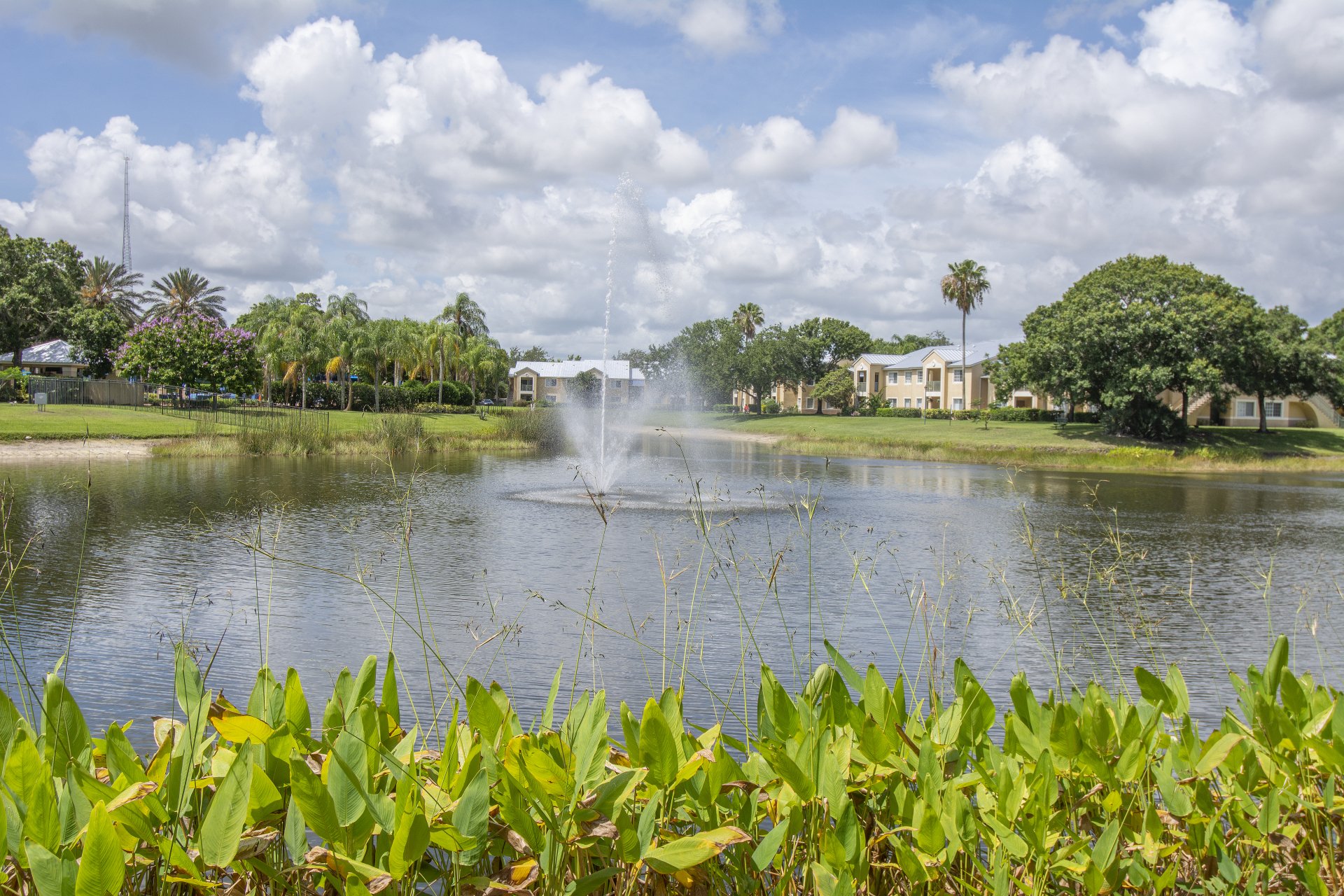 Gallery Coquina Cove Palm City Florida