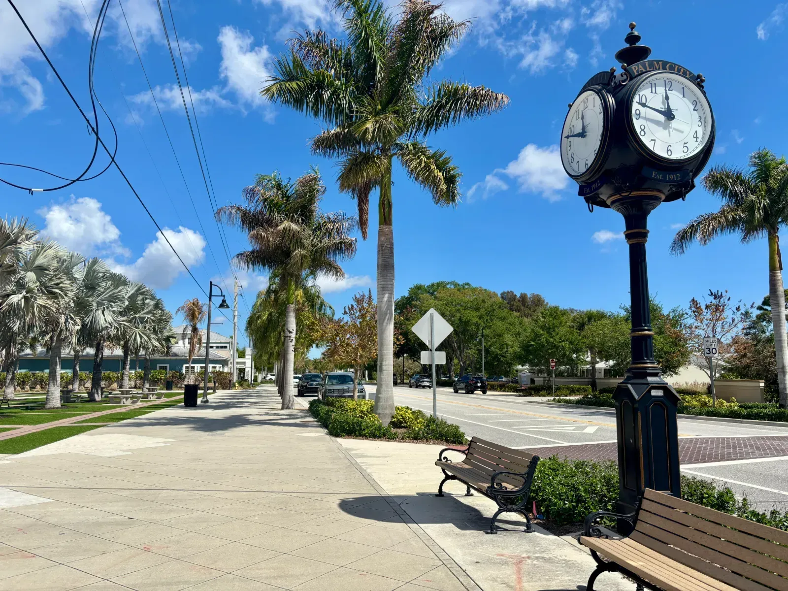 Palm-lined street and shopping area in Downtown Palm City, Florida