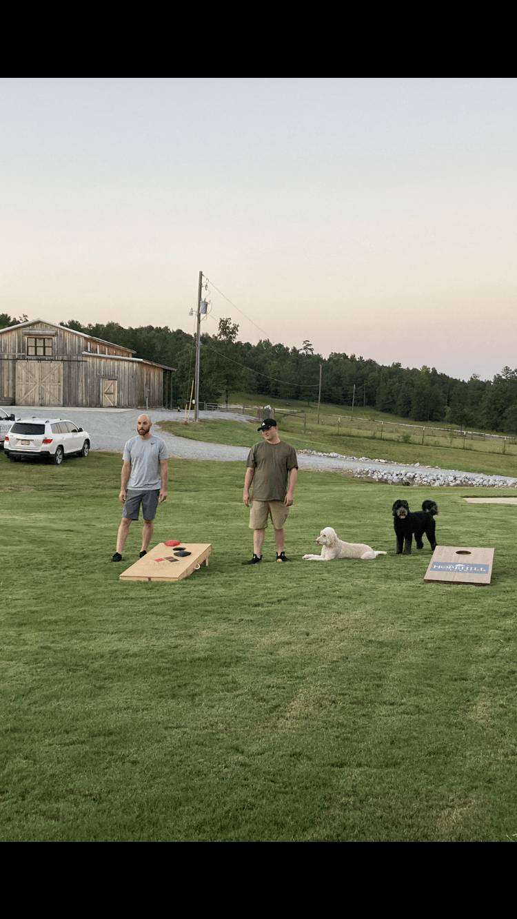 cornhole
