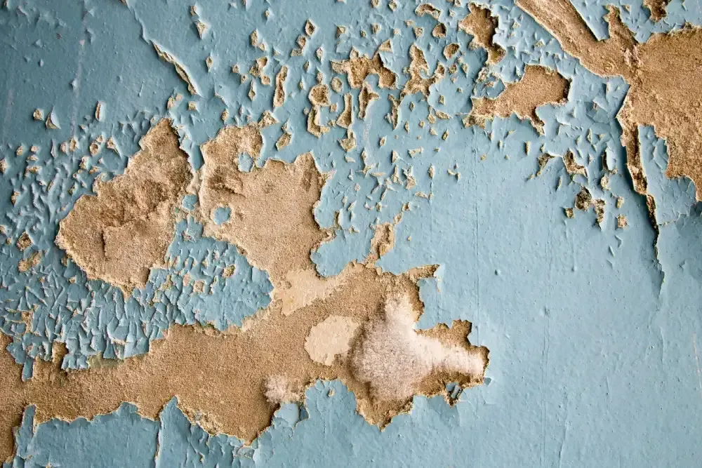 Peeling blue paint revealing tan plaster on a worn wall close-up