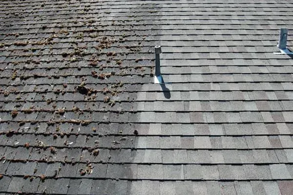Roof shingles, half covered in debris, half clean.