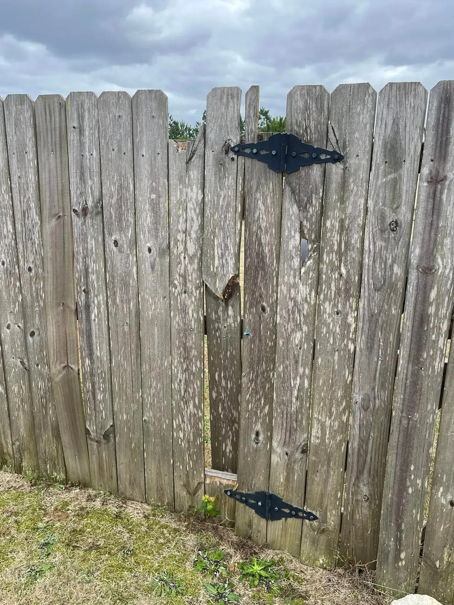 Weathered wooden fence with a damaged gate, black hinges, and overcast sky.