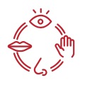 Red circle with eye, hand, nose, and mouth representing the five senses.