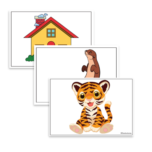 Educational poster with word association cards: panda, ant, zebra, gorilla, house, apple, bucket.