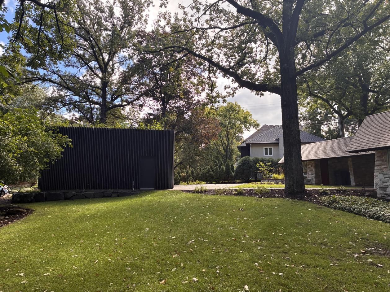 Shaded backyard lawn with trees, a black shed, and houses in the background
