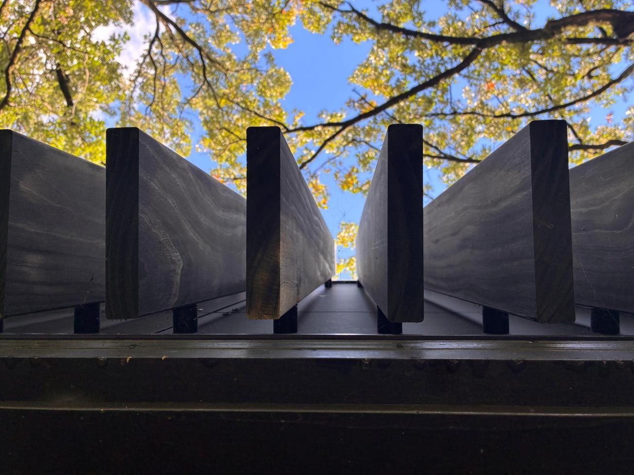 Black metal beams frame a narrow view of blue sky and yellow autumn leaves above.