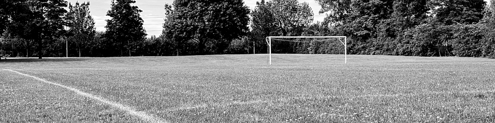 Soccer field with a goal in the distance, bordered by trees under a cloudy sky