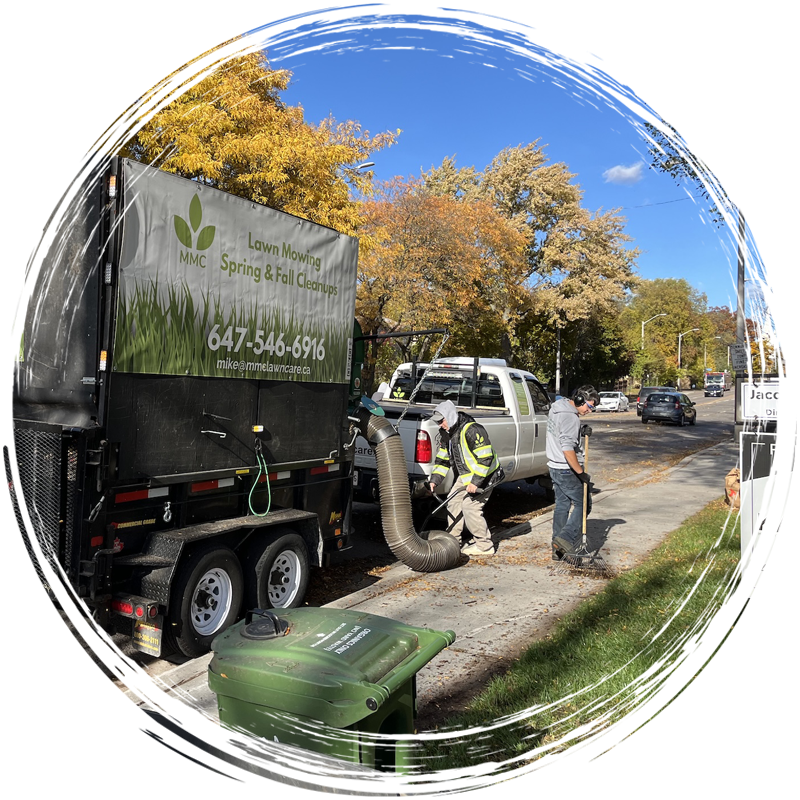 Leaf cleanup crew with trailer, using a vacuum to collect leaves on a street.