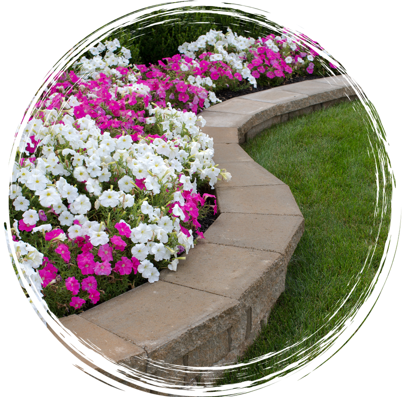 Curved stone border beside white and pink flowers and a green lawn