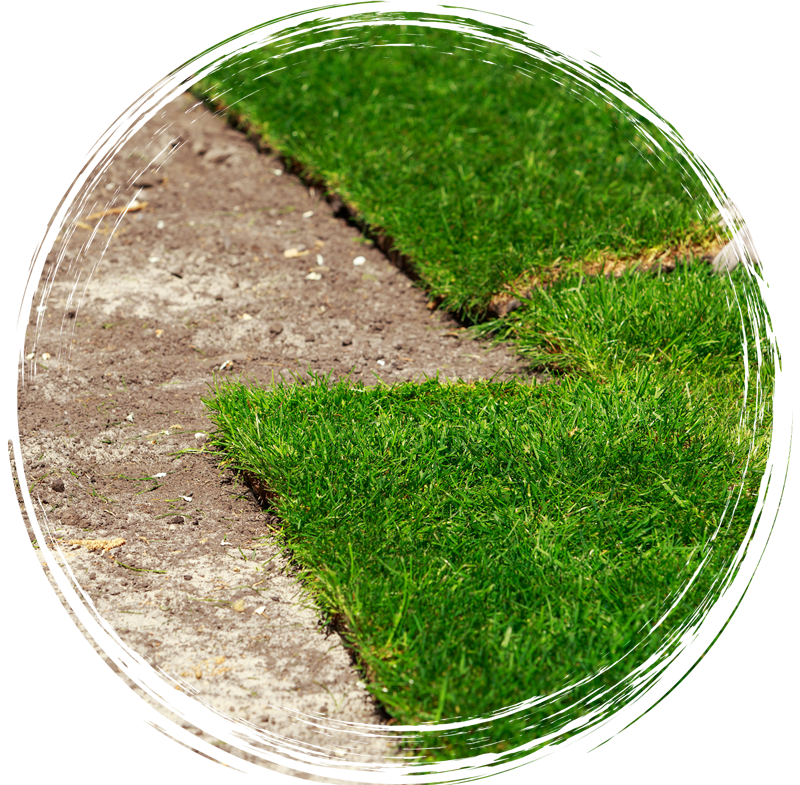 Broken circular grass patch with green turf and exposed dirt sections