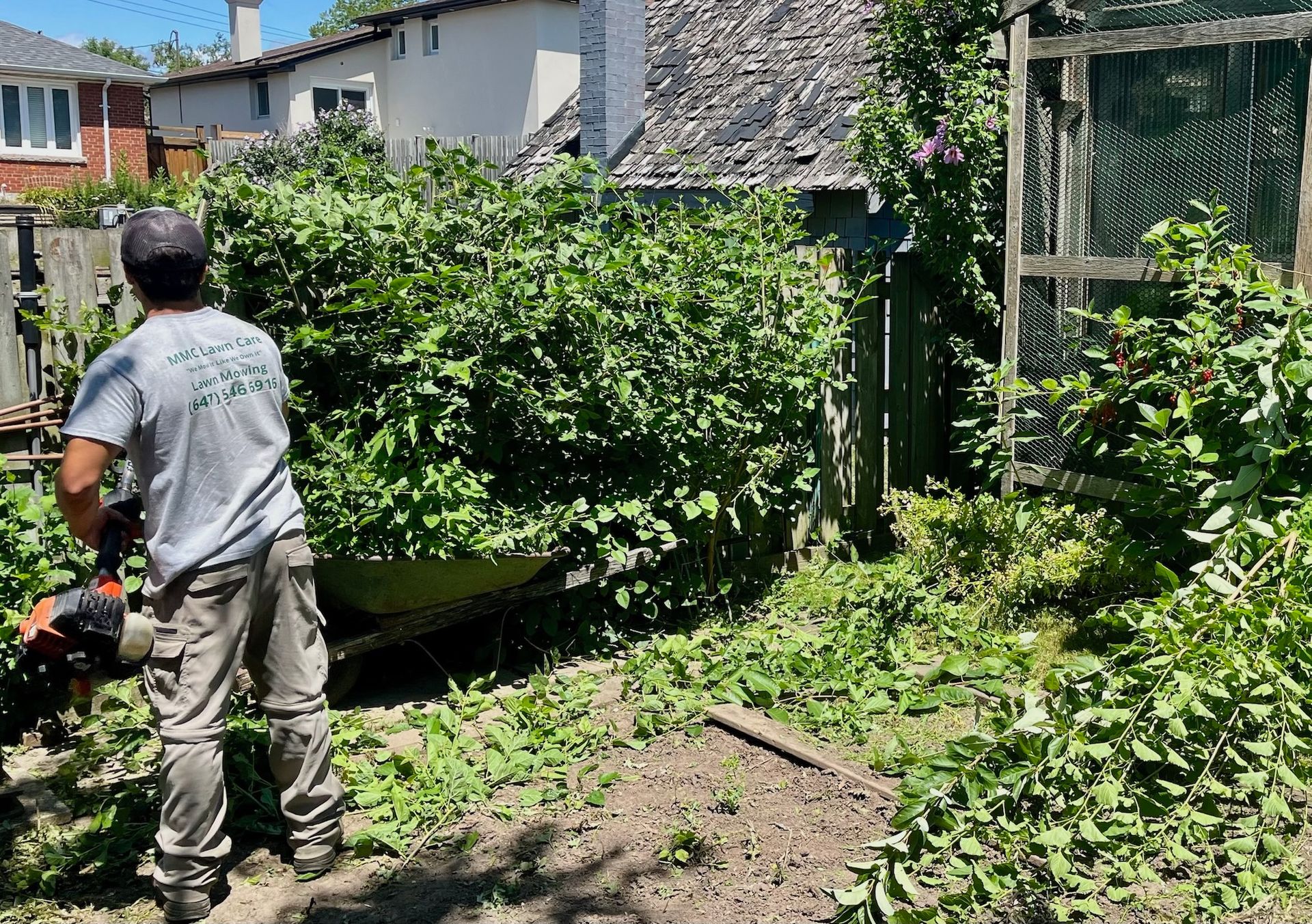 Man with chainsaw trimming overgrown garden, next to wooden fence and building.
