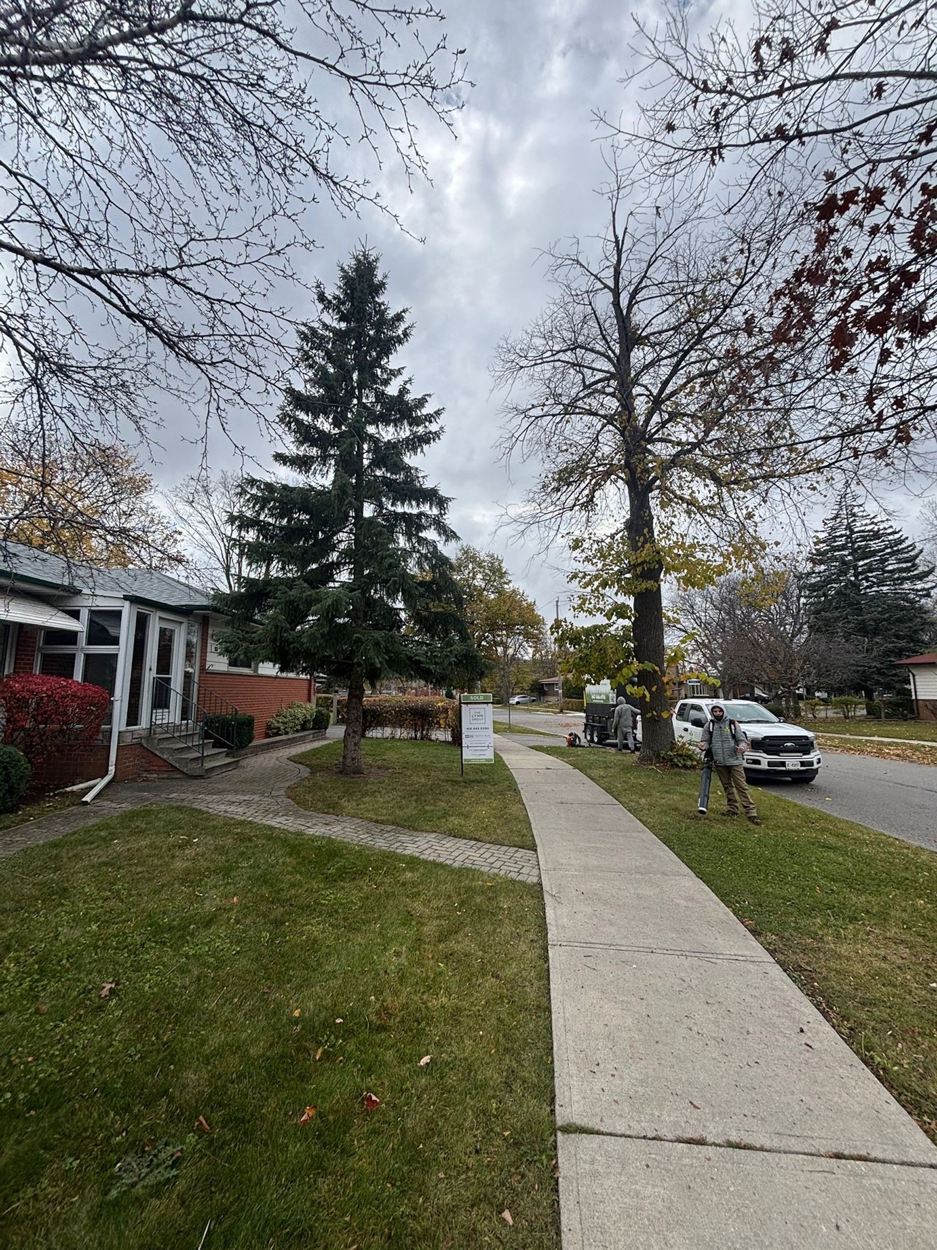 Sidewalk with grass and trees. Cloudy sky. A car parked on the street. A house is on the left.