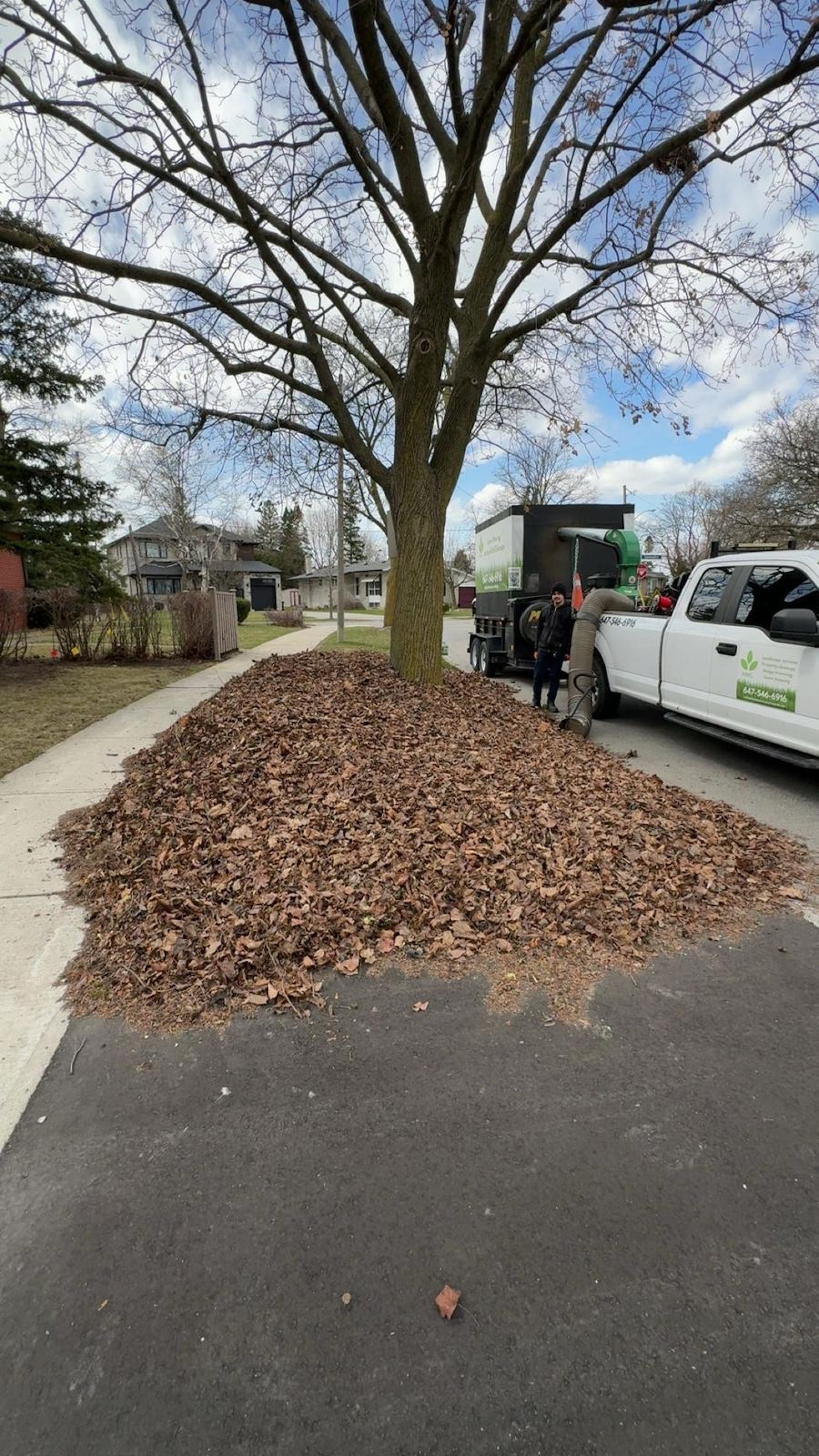 Workers raking leaves into a pile next to a tree, sidewalk, and parked truck on a residential street.