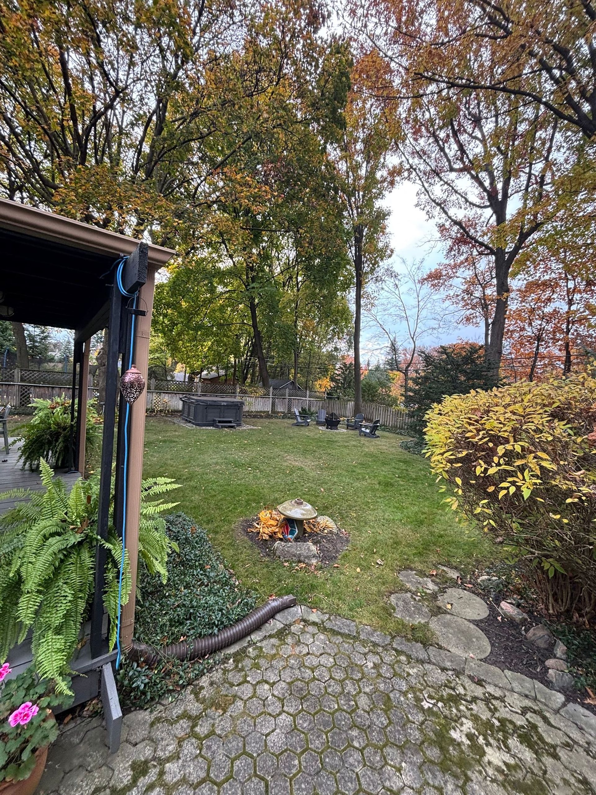 Backyard scene with autumn trees, green lawn, patio, and shrubs.