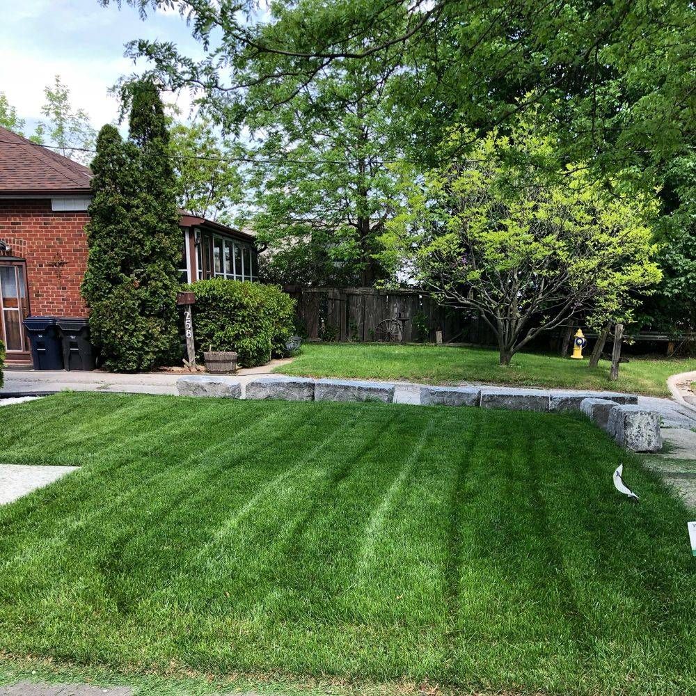 Weekly Lawn Mowing Client in Etobicoke ON.