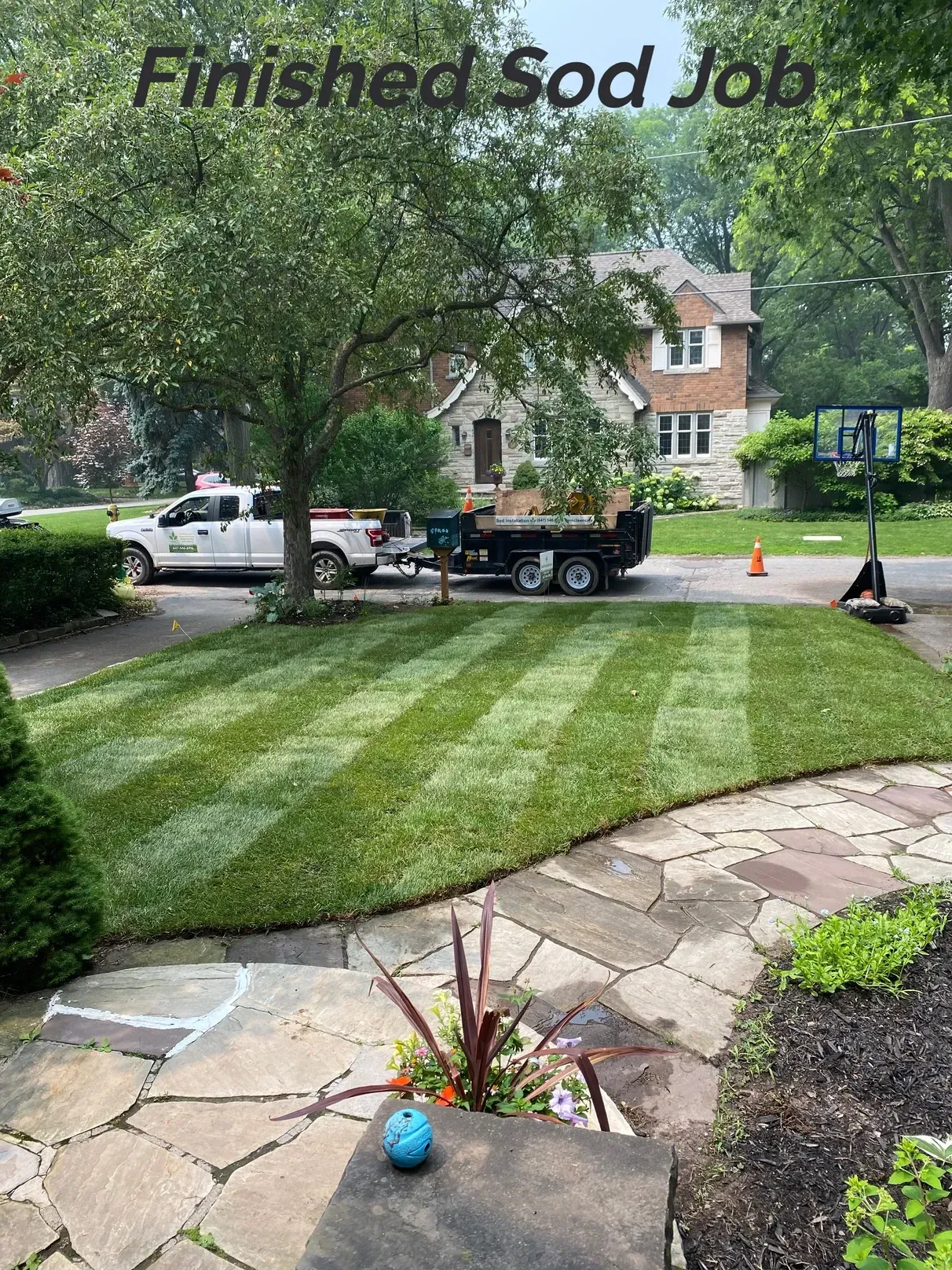 Recently completed front lawn sod installation in Etobicoke Recently completed front lawn sod installation in Etobicoke