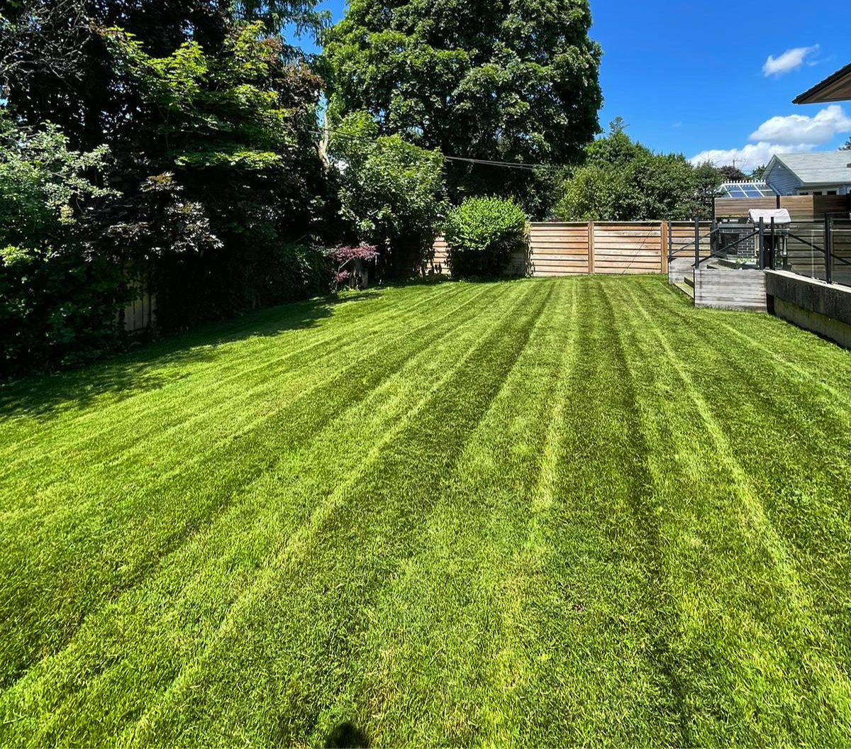 Fall Fertilization