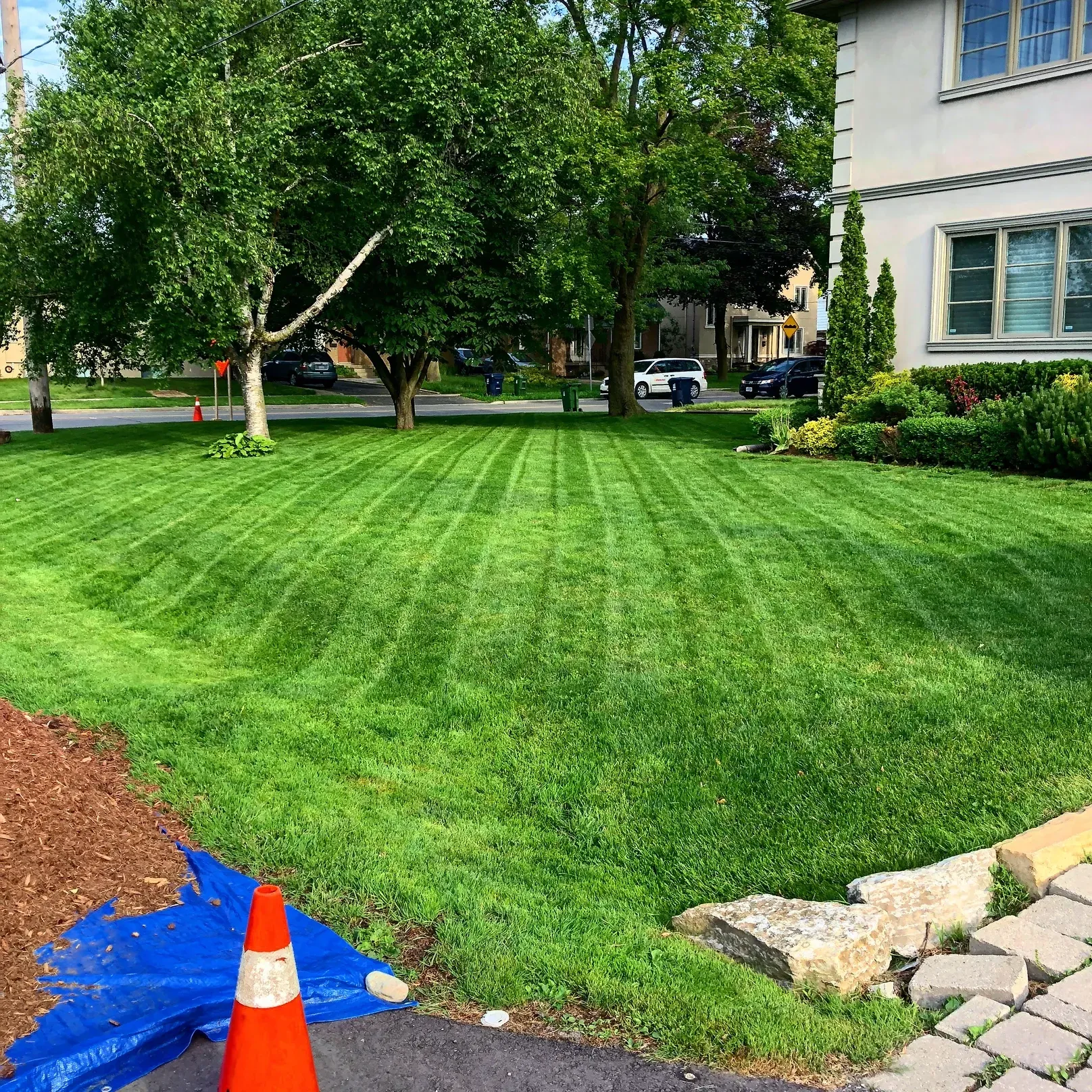 Weekly Lawn Mowing in Etobicoke! Weekly Lawn Mowing in Etobicoke!