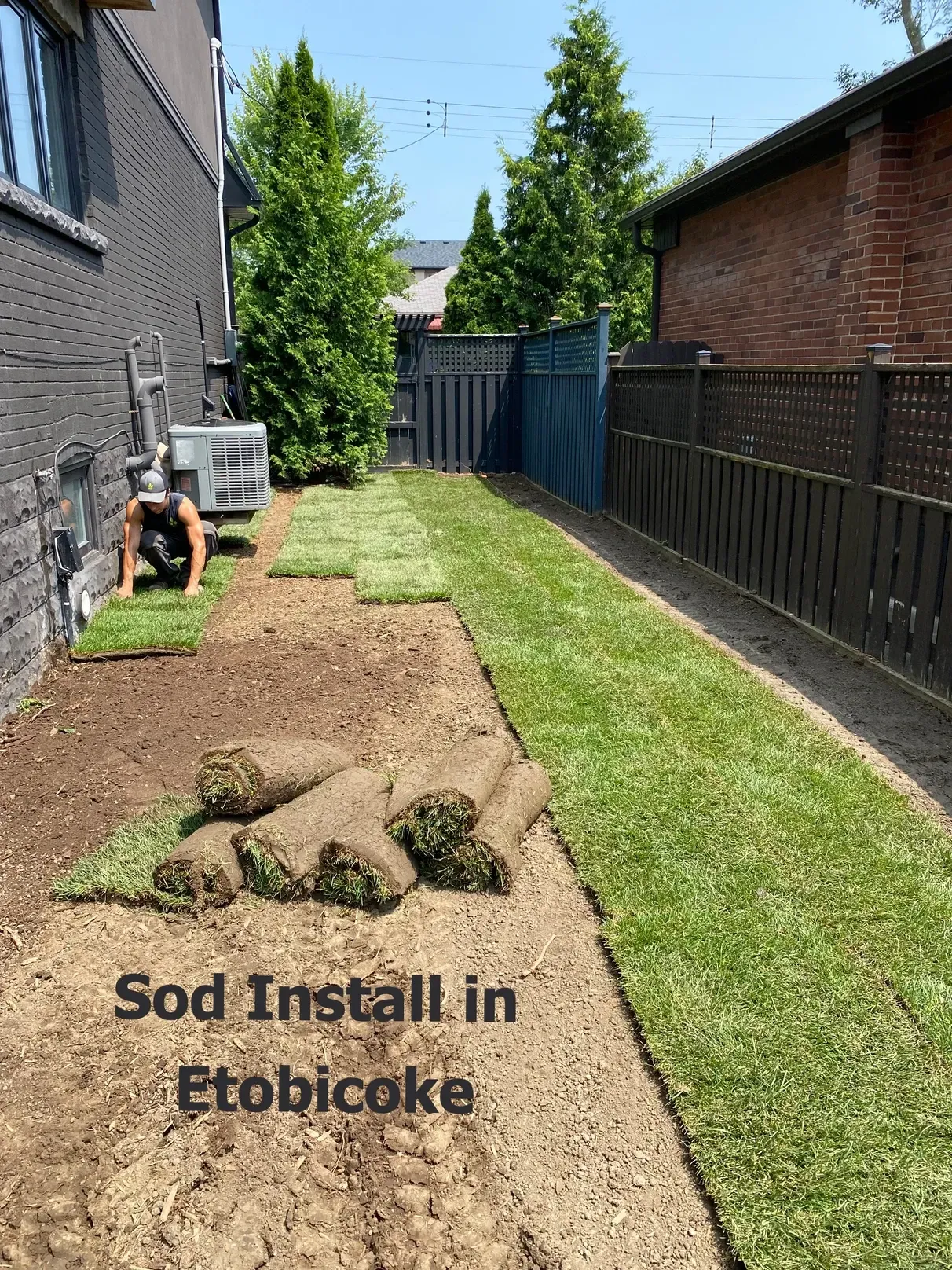 Process of rolling out new sod after grading the yard Process of rolling out new sod after grading the yard