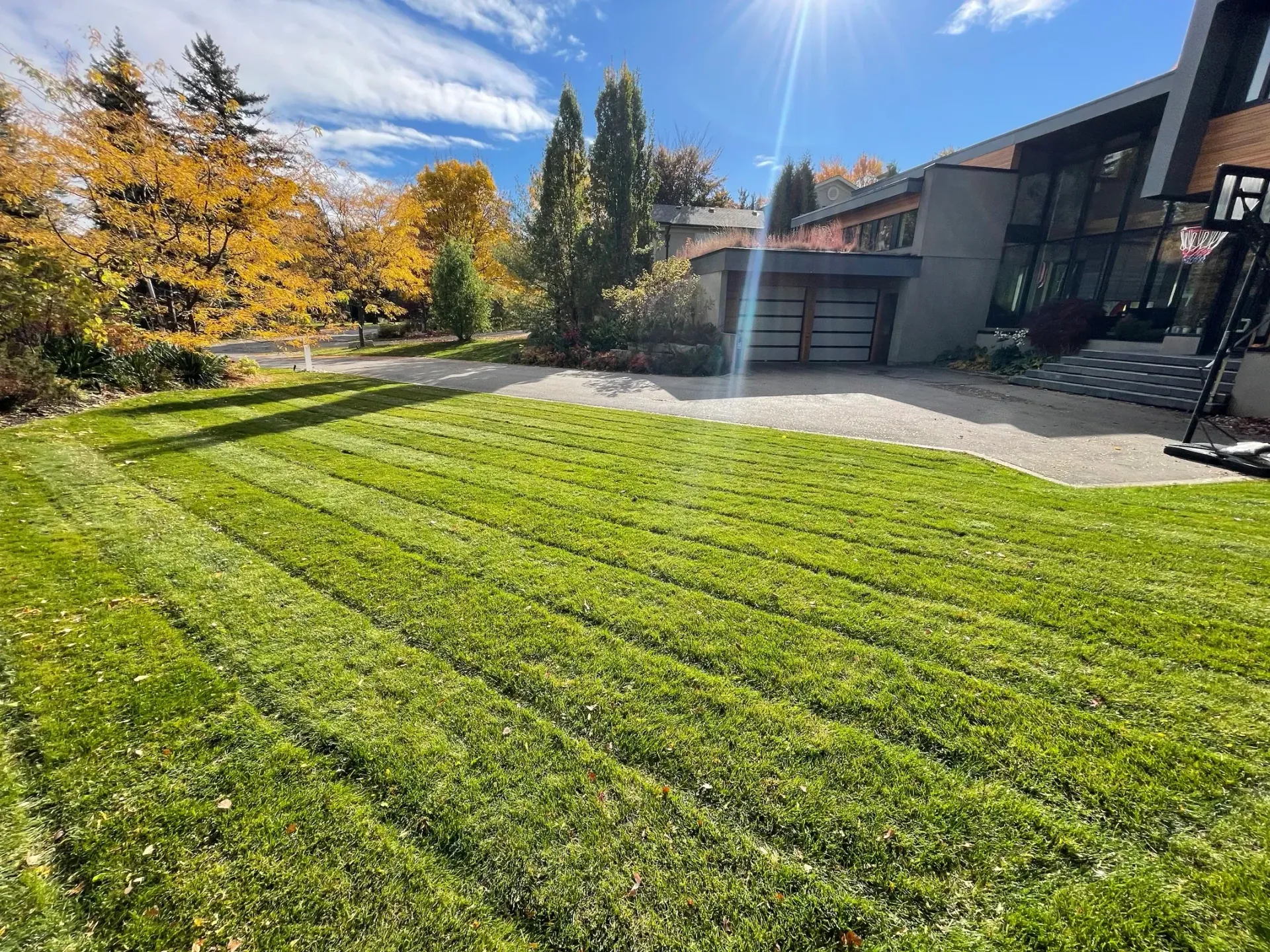 Lush lawn that is mowed weekly, and all clippings are mulched. Lush lawn that is mowed weekly, and all clippings are mulched.