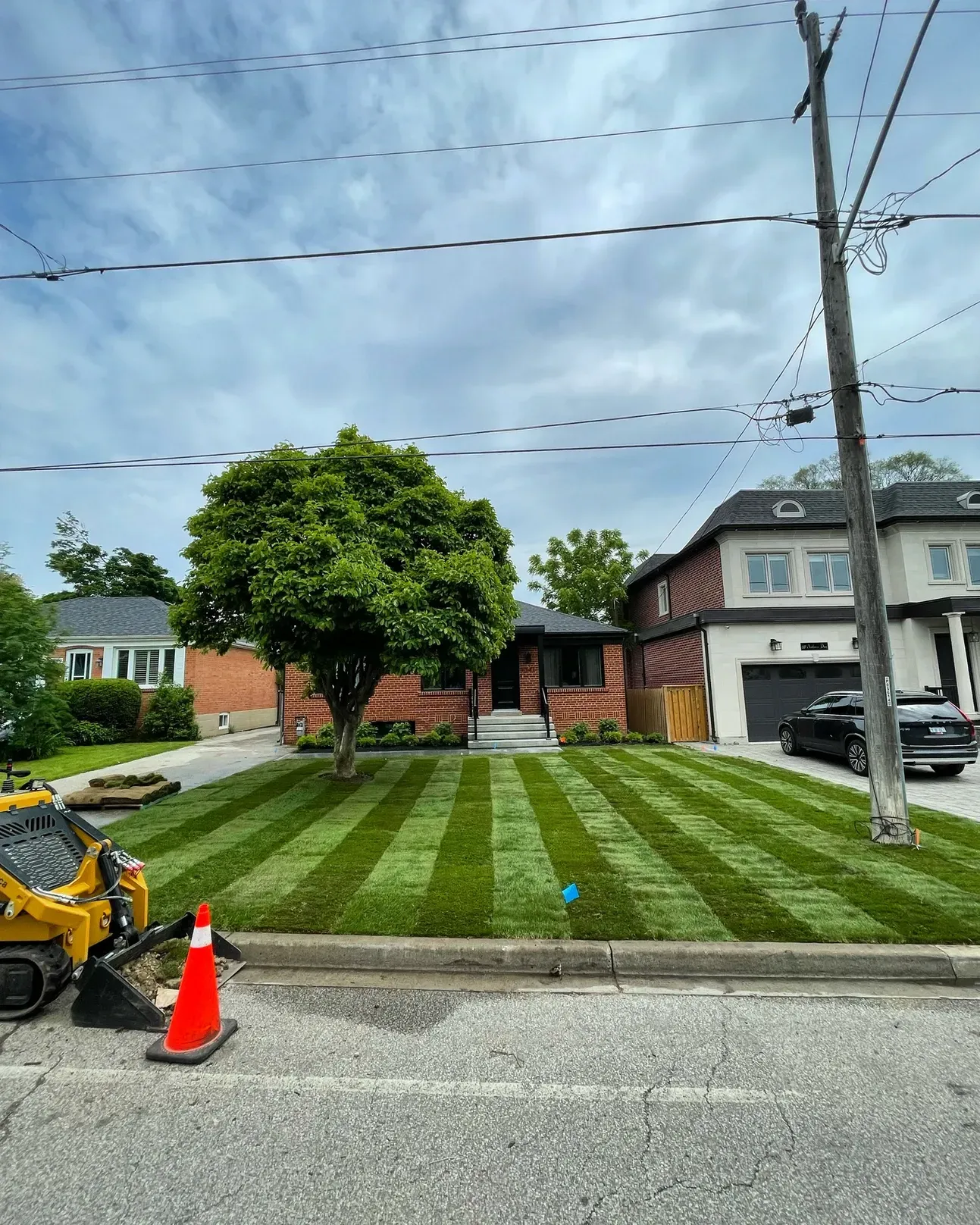 Front lawn we resodded earlier this spring in Mississauga Ontario Front lawn we resodded earlier this spring in Mississauga Ontario