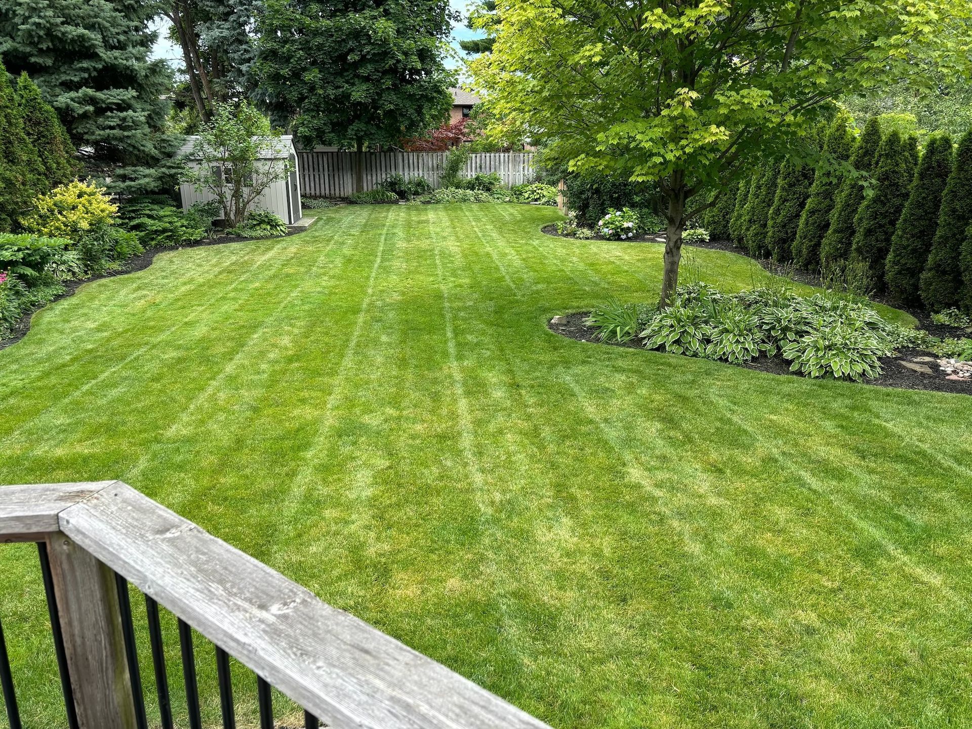Green lawn, wooden railing in foreground, trees and garden in the background.