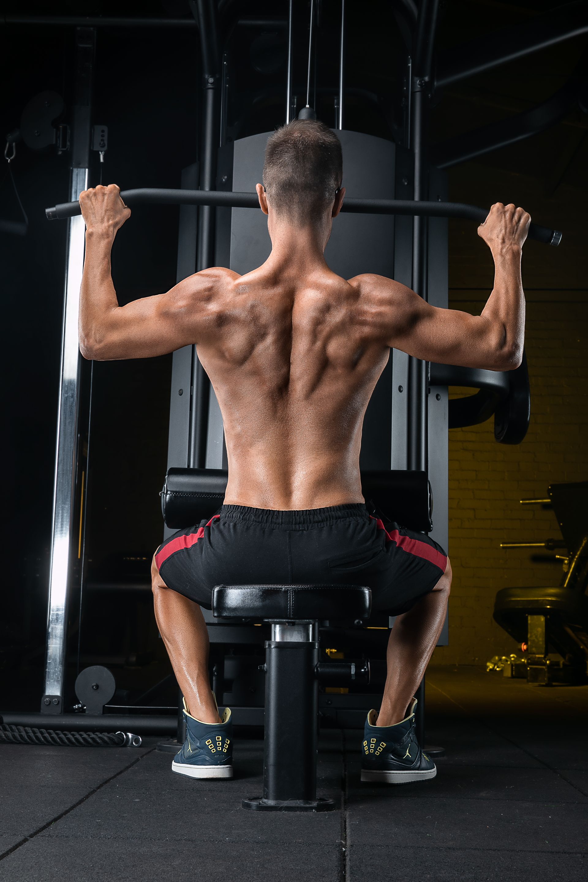 muscle, execution, growth, gym, workout, lifting, training, bodybuilding, fitness