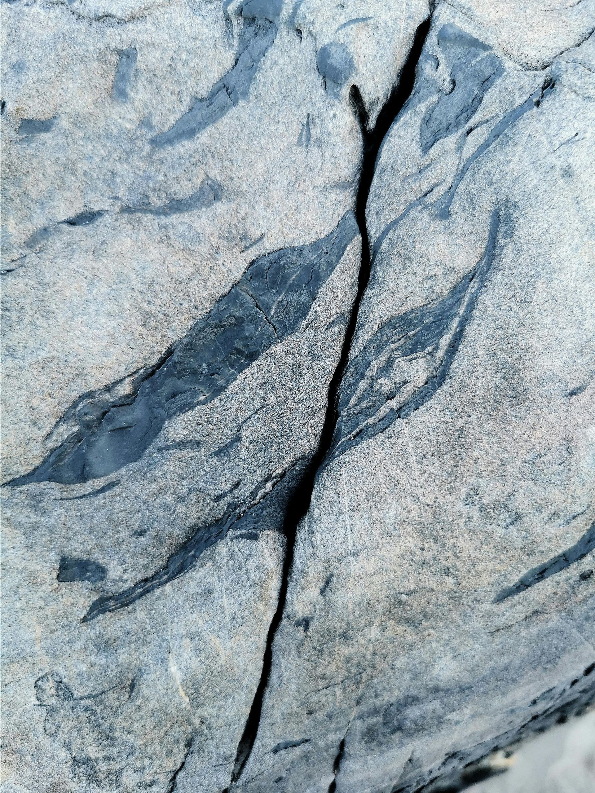 Cracked gray rock surface with dark veins.