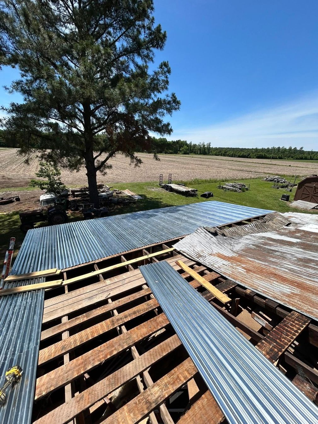 Partially built metal roof over wooden framing beside a pine tree in a sunny open field