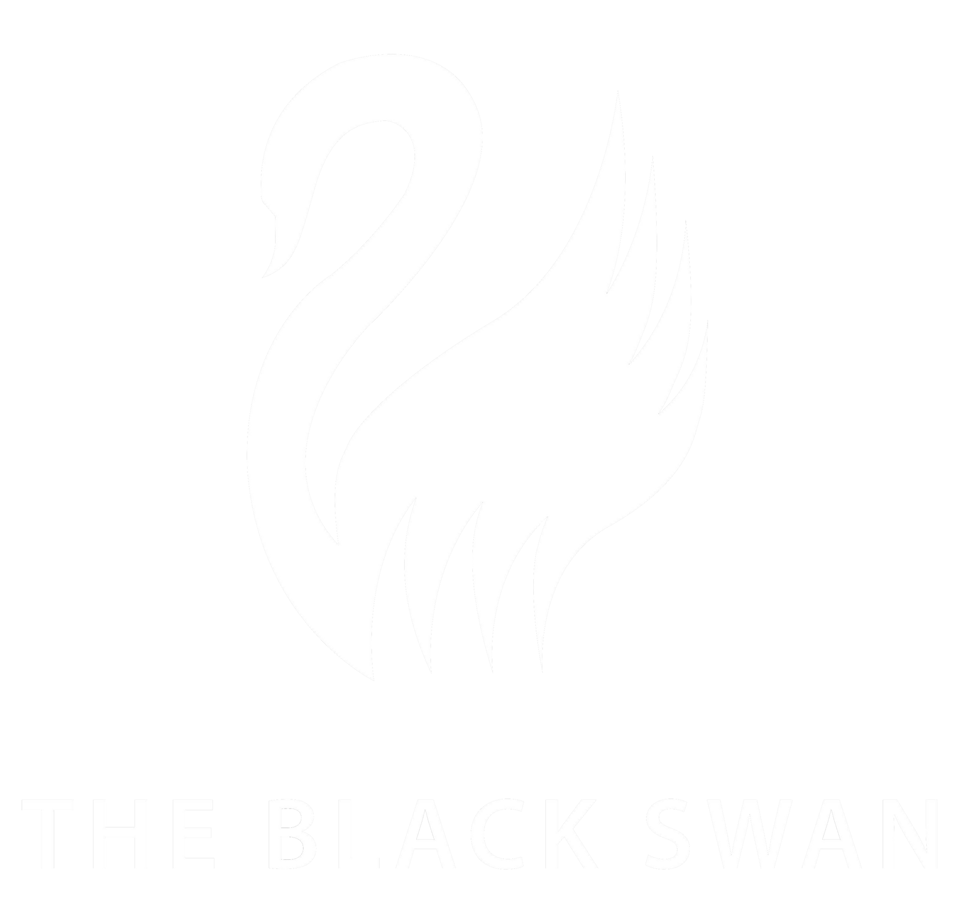 The Black Swan Hotel