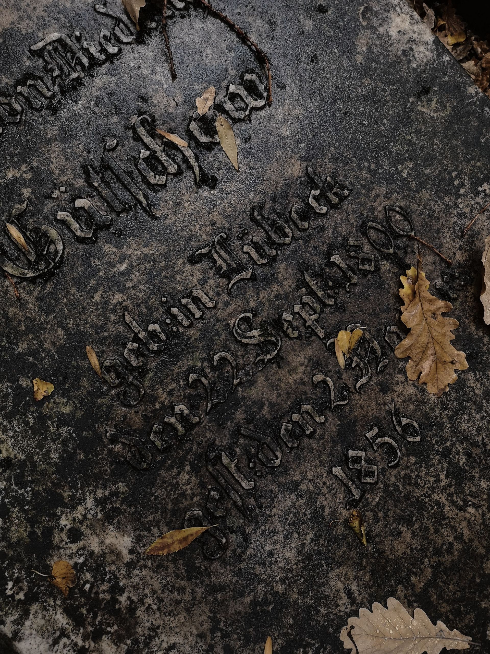 Tilted weathered gravestone with engraved text and fallen leaves on dark stone.