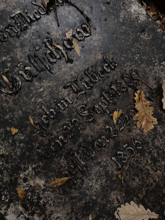 Weathered dark gravestone with engraved text and fallen leaves on the surface