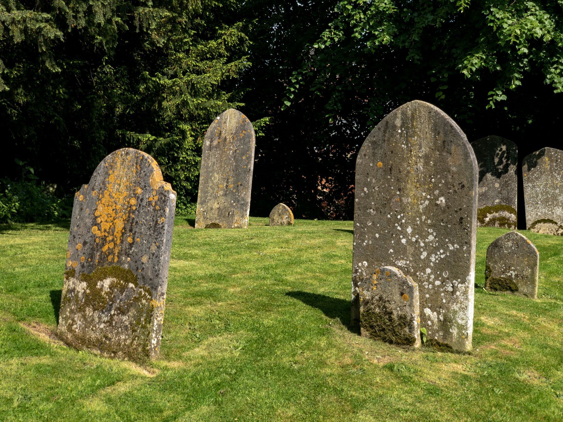 Old weathered gravestones in a grassy cemetery under leafy trees