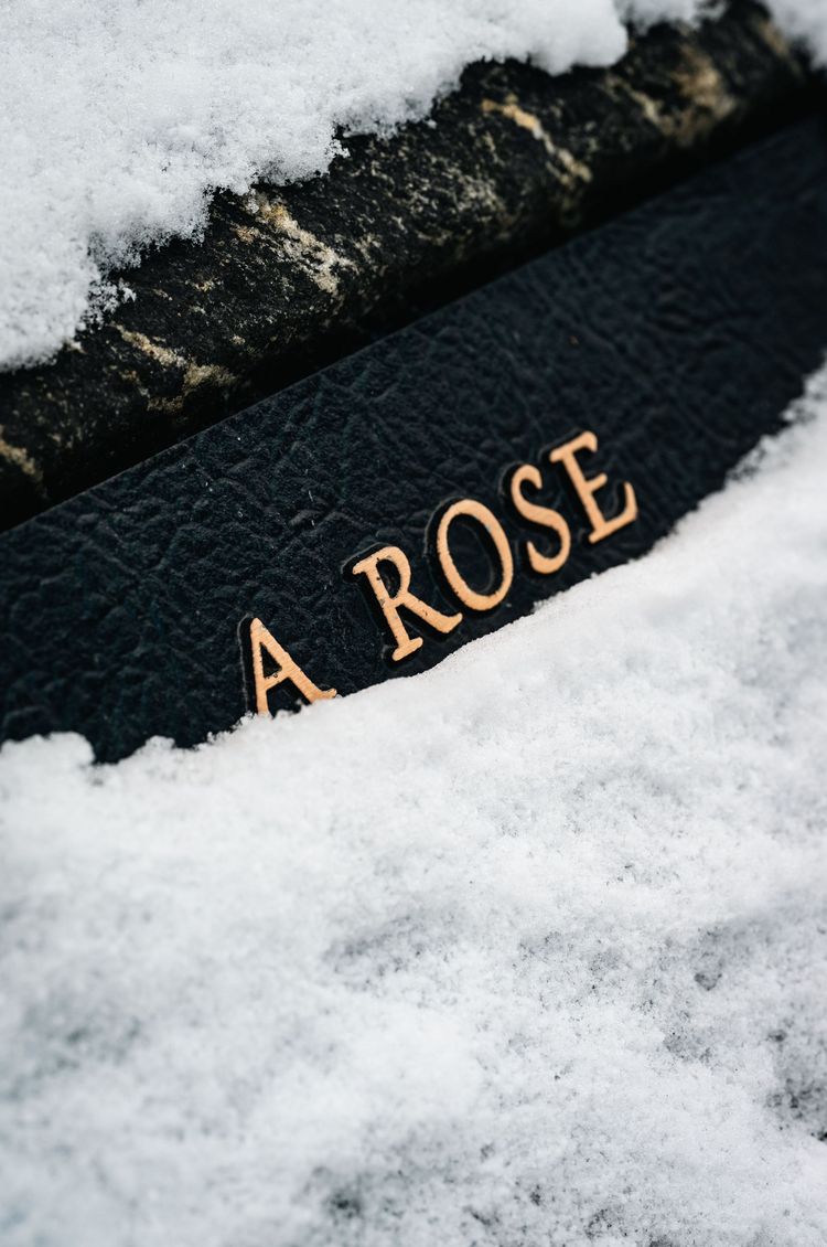 A rose-gold “A ROSE” title on a dark surface, partly covered in snow