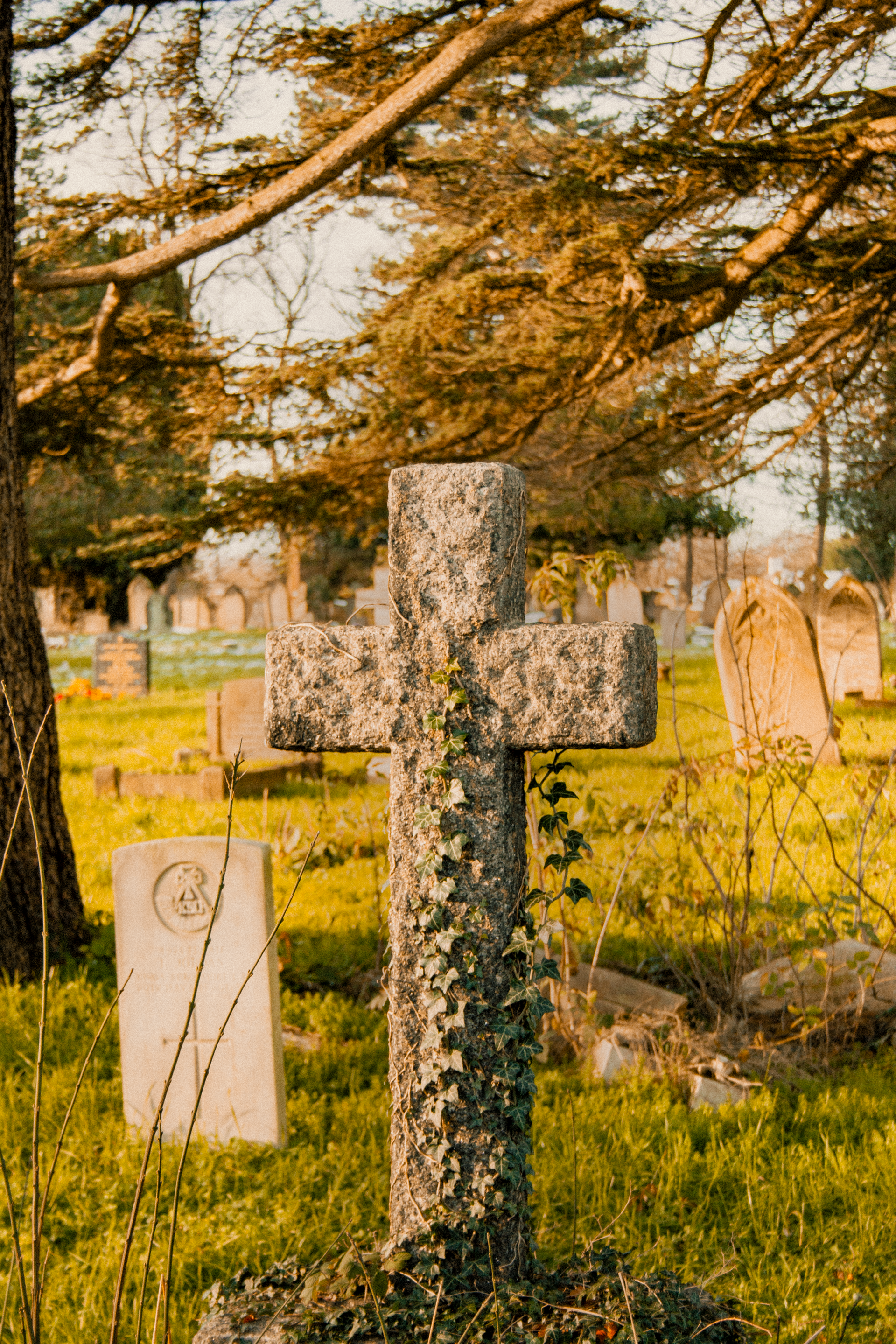 Cross-shaped grave marker in a sunlit cemetery with trees and other headstones in the background